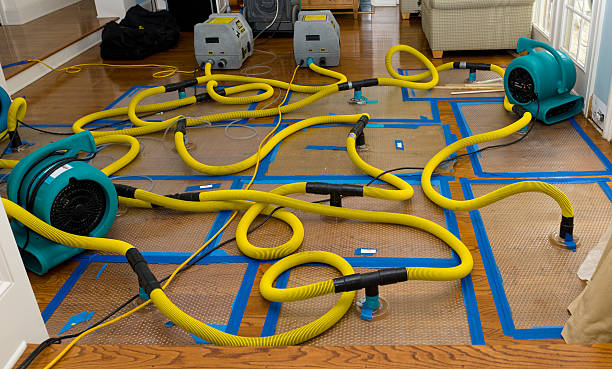 Professional Emergency Water Removal technician working in Pleasureville, PA